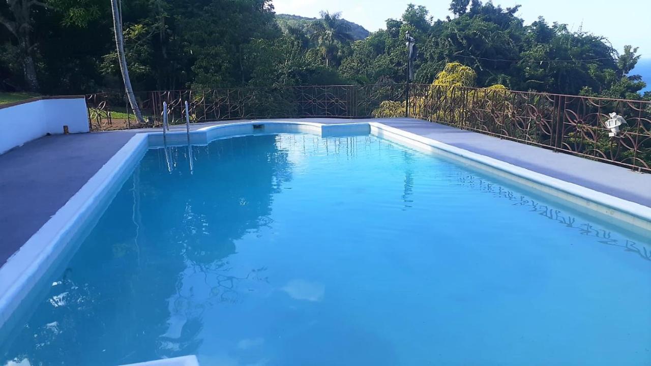 أوشو ريوس Villa Dianna - Entire Villa, Roof Terrace, Pool, Garden, Sea Views Near Dunn'S River المظهر الخارجي الصورة