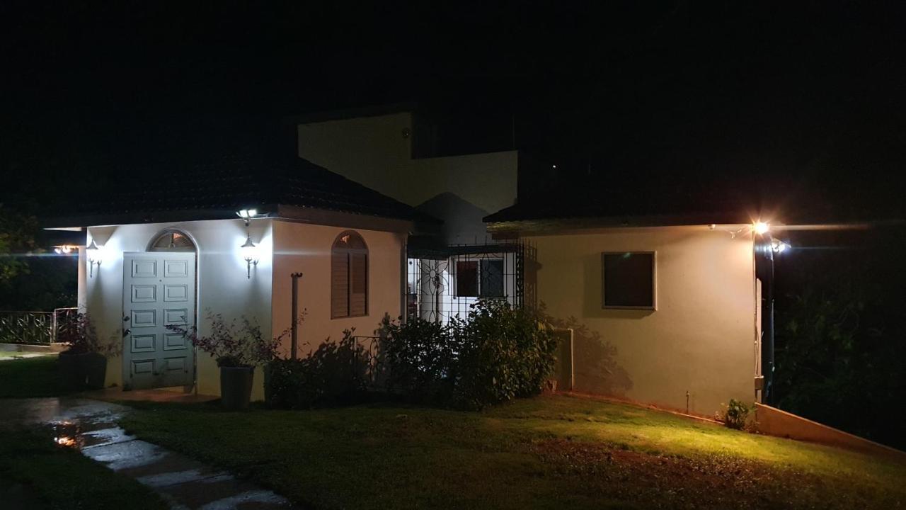 أوشو ريوس Villa Dianna - Entire Villa, Roof Terrace, Pool, Garden, Sea Views Near Dunn'S River المظهر الخارجي الصورة