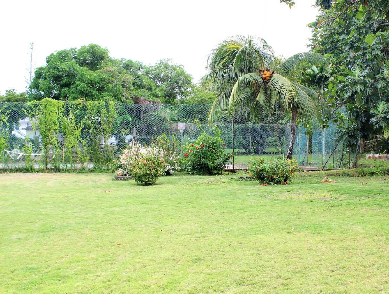 أوشو ريوس Villa Dianna - Entire Villa, Roof Terrace, Pool, Garden, Sea Views Near Dunn'S River المظهر الخارجي الصورة