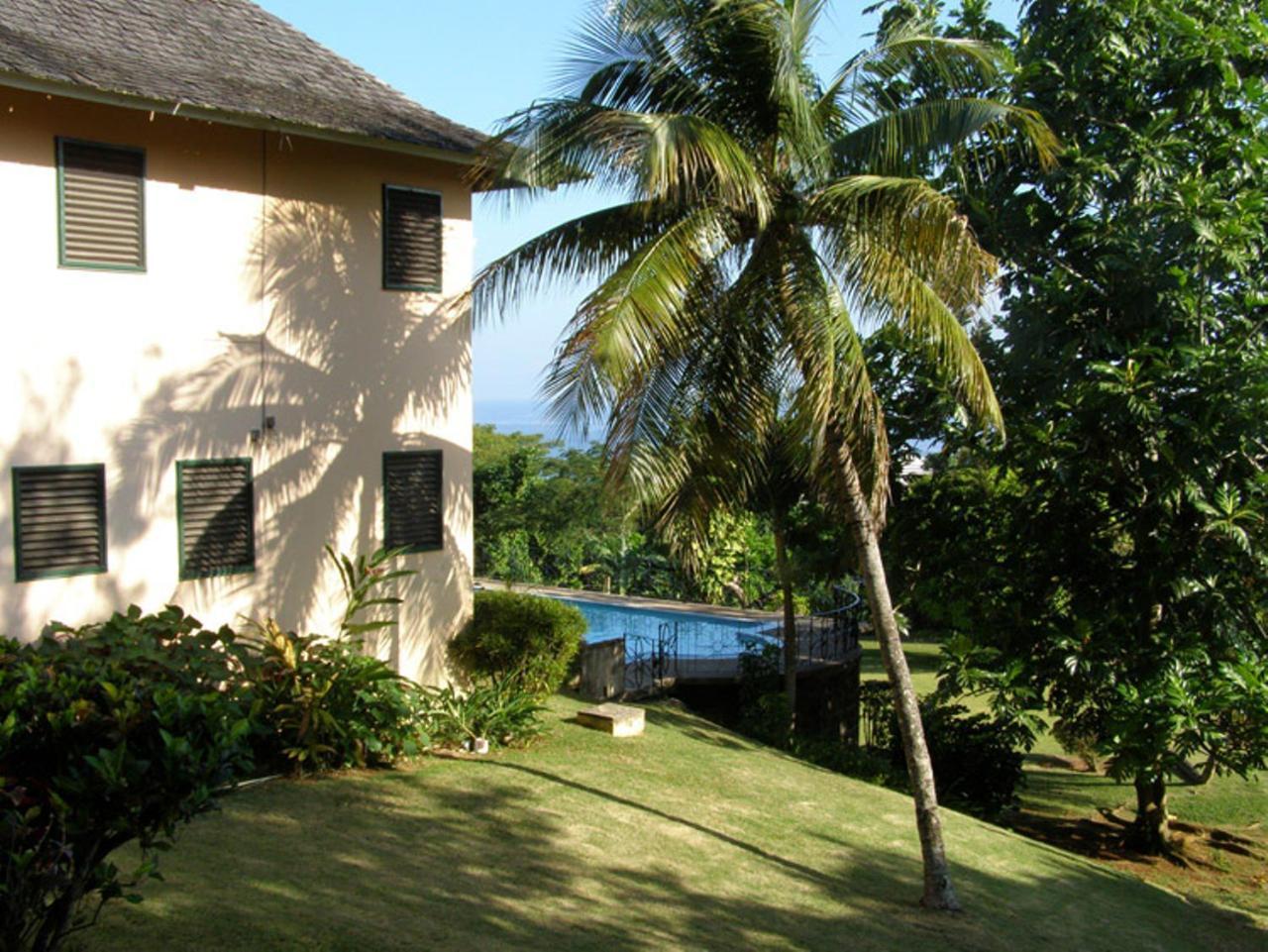 أوشو ريوس Villa Dianna - Entire Villa, Roof Terrace, Pool, Garden, Sea Views Near Dunn'S River المظهر الخارجي الصورة